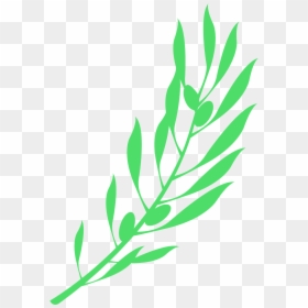 Clip Art, HD Png Download - olive branches png
