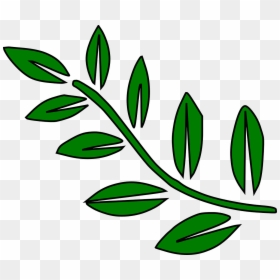 Leaves On A Branch Clip Art, HD Png Download - olive branches png