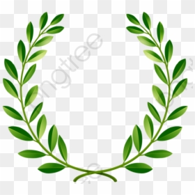 Green Laurel Wreath Png, Transparent Png - olive branches png