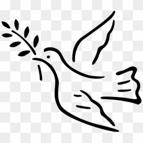 Olive Branches Png, Transparent Png - olive branches png