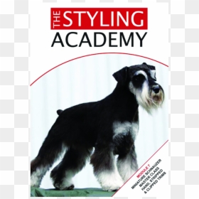 Schnauzer Png, Transparent Png - schnauzer png