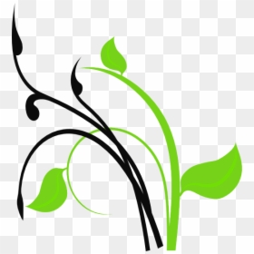 Olive Branches Png, Transparent Png - olive branches png