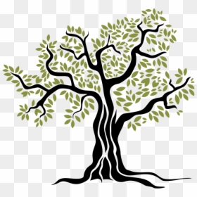 Olive Branches Png, Transparent Png - olive branches png