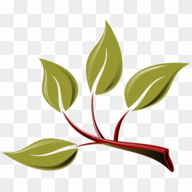 Olive Branches Png, Transparent Png - olive branches png