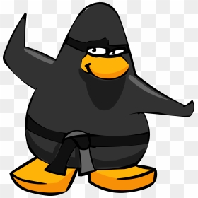 Club Penguin Wiki - Profile Pictures For Discord, HD Png Download - cartoon ninja png