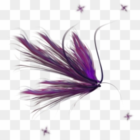 7 Kb, Impressive - Carmine, HD Png Download - blue wings png