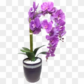 Parabéns Eliane, HD Png Download - orquideas png