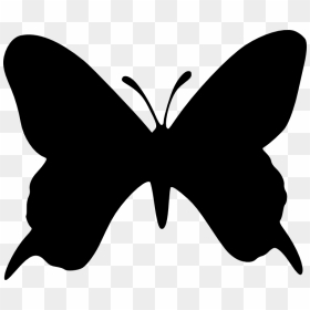 Silhouette Butterfly Stencil, HD Png Download - wings silhouette png