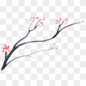 This Graphics Is Dead Wood Bloom Flower Transparent - Cherry Blossom, HD Png Download - dead flower png