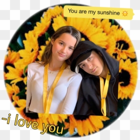 🌻☀️you Are My Sunshine ☀️🌻 ☀️🌻 - Yellow Aesthetic, HD Png Download - you are my sunshine png