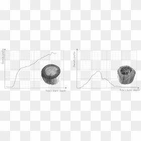 Diagram, HD Png Download - wooden pole png