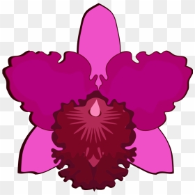 Cattleya-07h - Cattleya Flower Clip Art, HD Png Download - orquideas png