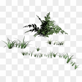 Grass Blades Of Grass Filigree Free Photo - Травинки Пнг, HD Png Download - grass blade png