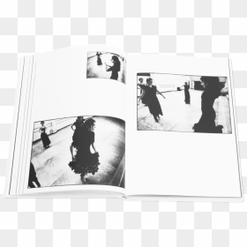 Books Flamenco - Photograph, HD Png Download - flamenco png