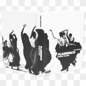 Books Flamenco 1 - Poster, HD Png Download - flamenco png
