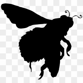 Silhouette Of Bumble Bee - Silhouette Bumblebee, HD Png Download - bee silhouette png