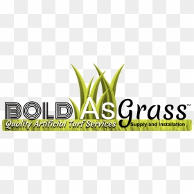 Bold As Grass - Grass, HD Png Download - grass blade png