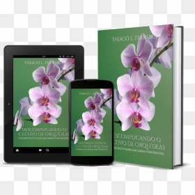 Manual Cultivo De Orquideas, HD Png Download - orquideas png
