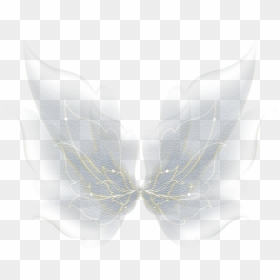 Free Butterfly Png Photo - Fairy Wings, Transparent Png - buterfly png