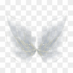 Free Butterfly Png Photo - Fairy Wings, Transparent Png - buterfly png