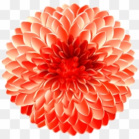 Free Png Flower Transpa Png Images Background Png Images - Dahlia, Transparent Png - dahlia png