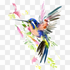 Ftestickers Watercolor Nature Hummingbird - Painted Birds, HD Png Download - nature background png