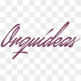 Floristeria Orquideas Bonao - Calligraphy, HD Png Download - orquideas png