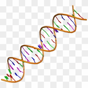 2019 Ip 33 Enlaces Adn - Dna, HD Png Download - nubes animadas png