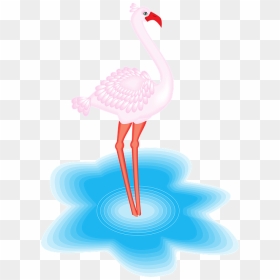 Flamingo Na Agua Png, Transparent Png - flamenco png