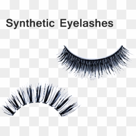 Taxonomie Bloom, HD Png Download - fake eyelashes png