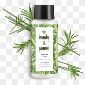 Love Beauty And Planet Tea Tree Oil & Vetiver Conditioner, HD Png Download - tea tree png