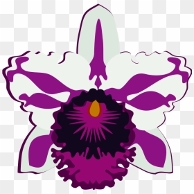 Cattleya-07k - Orchid Drawing Easy, HD Png Download - orquideas png