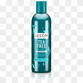 Jason Tea Tree Shampoo, HD Png Download - tea tree png