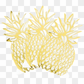 Blank - Illustration, HD Png Download - gold pineapple png