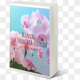 Phalaenopsis Equestris, HD Png Download - orquideas png