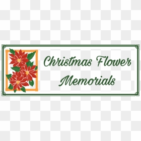 Picture - Field Marigold, HD Png Download - christmas flowers png