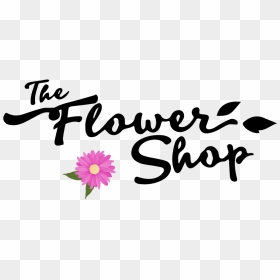 The Flower Shop - Barberton Daisy, HD Png Download - christmas flowers png