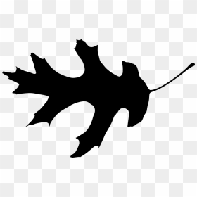 15 Leaf Silhouette, HD Png Download - vine silhouette png