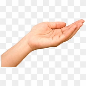Hand Receiving , Png Download - Receiving Hand Image Png, Transparent Png - cash in hand png