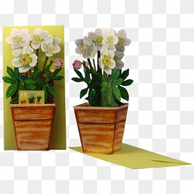 Artificial Flower, HD Png Download - christmas flowers png