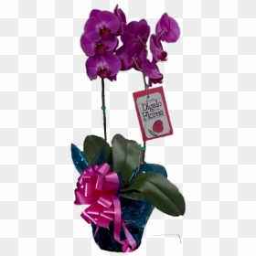 Artificial Flower, HD Png Download - orquideas png