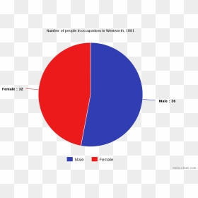 Male Female Pie Chart - Pie Chart Of Male And Female, HD Png Download - male female png