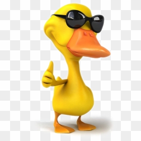 Pictures Cartoon Duck Download Hd Png Clipart - Lanso A Braba Meme, Transparent Png - cartoon duck png