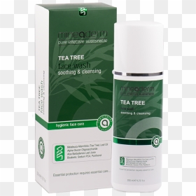 Tea Tree Png, Transparent Png - tea tree png