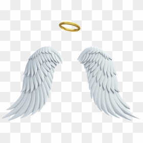 Transparent Asas Png - Angel Wings White Background, Png Download - asas png