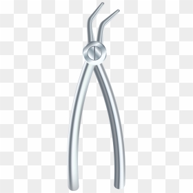 Dental Pliers Clip Art - Compass, HD Png Download - pliers png