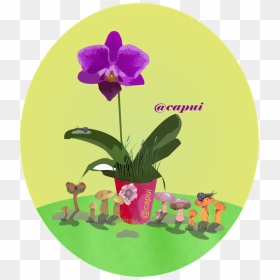 Orchids Of The Philippines, HD Png Download - orquideas png