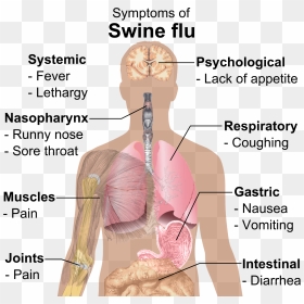 Symptoms Of Swine Flu, HD Png Download - coughing png