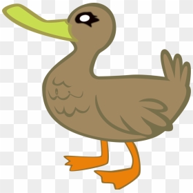 Duck Clip Transparent Background - My Little Pony Duck, HD Png Download - cartoon duck png