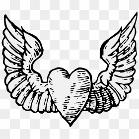 หัวใจ ติด ปีก, HD Png Download - heart with wings png